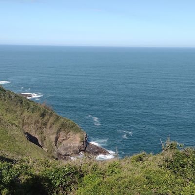 SotnasO491590's profile picture. 