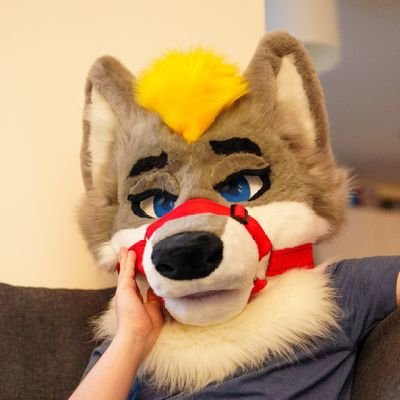 Welsh_Folf99's profile picture. 26 | 🏳️‍🌈 | Big Paw Lovin' Folfo | Smol! | Taken (Open) by @TylerWusky 💛 | Usually found at LFM! 💛 | Next Cons: Scotia & CFz