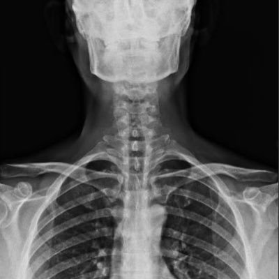 velasc_alberto's profile picture. Professor assoc. d'Història de l'Art a @UdL_info i a @UOCartshum ✍️ @elpuntavui i @SEGREcom Ameba del Segre. Vividor de les pedres.