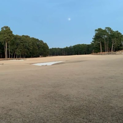 ZachAbernethy's profile picture. Sports are fun, Tom Brady is the GOAT, shrink the game of golf