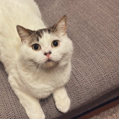 oyuki_chillin's profile picture. director | 邦洋問わず音楽大好き。基本洋楽。ライブと映画とカフェと漫画とアートと散歩が好き | be sincerely. 最近メタルコア🎸🐍