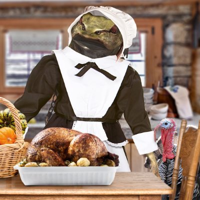 EDF_OFFICIAL_EN's profile picture. 