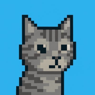 zeynepyenii12's profile picture. 