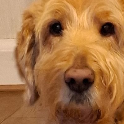 mike_meloff's profile picture. gone fishing 🎣