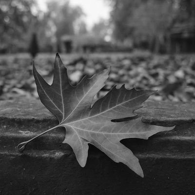 trav__3ler's profile picture. 