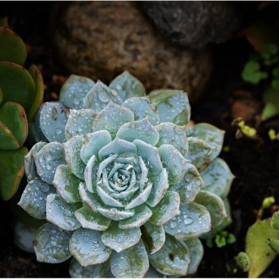 KhylaBae's profile picture. i will be greater.