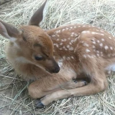 pearlzxtz's profile picture. 16 • 47kg?? • 4’11 • shedtwt