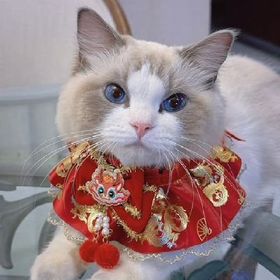 LapatsarananT's profile picture. ยิ้มเก่งได้แบบทุกวันนี้เป็นผลงานของปอนด์กับภูวินทร์เลยนะ🩵🧡✨️
“ เเต่ทั้งหมดมันก็เติบโตมากับคุณก่อนไง ”  ✨️🌈เดี๋ยวร่ายมนต์ให้นะคะ🌙⭐️💖สลิ่มออร์แกนิคภูวินทร์