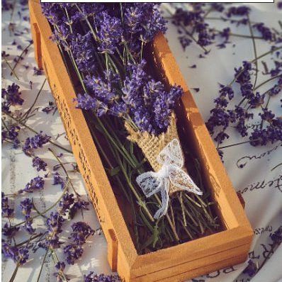 smile7955's profile picture. Believe in your abilities learn to surpass yourself and become a better version of yourself