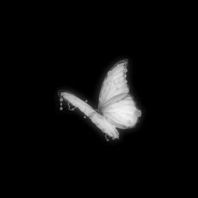 Janet_Merzek's profile picture. 🎧 || 🧑🏻‍💻