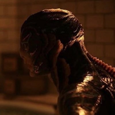 buttermilkdrink's profile picture. 🏳️‍🌈 22 lesbian 🦑🐙 retweet a lot , draw a little #MELLA 💀🧛🏾‍♀️