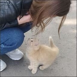 Yfleooru7200's profile picture. 