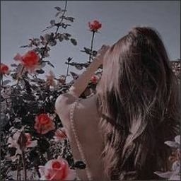 Alswaluiwwir06's profile picture. 