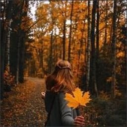 Dalirnu0786170's profile picture. 