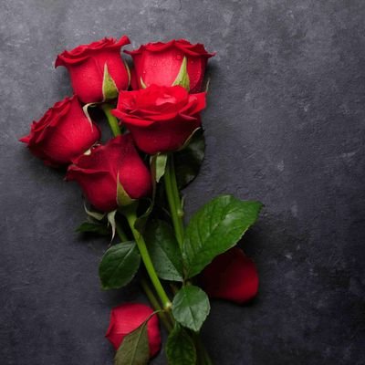 31_kardele43584's profile picture. 