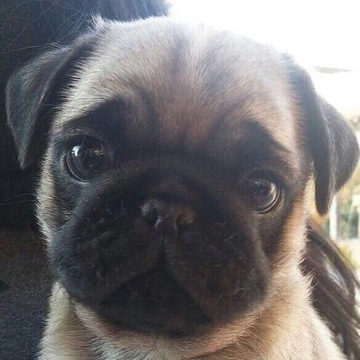 alivegirl43's profile picture. 