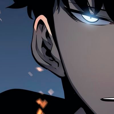 0xAni3's profile picture. CritX