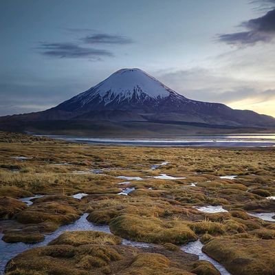 GasparTapCas's profile picture. U de Chile 🇨🇱.