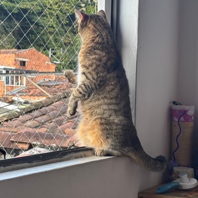 porindisponer's profile picture. 