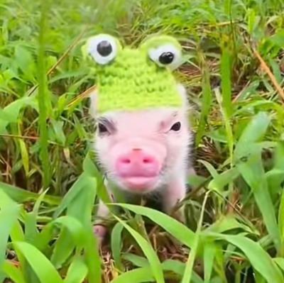 BanjoFrogAlex's profile picture. 25

Minors DNI