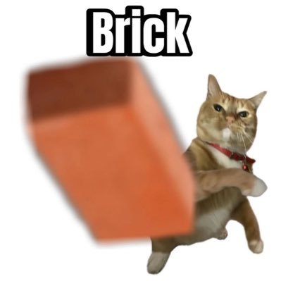 iladnashh's profile picture. https://t.co/KpyGZuQeNp