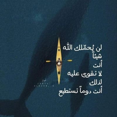 Mustaf49534Hala's profile picture. قل ربي زدني علما ♥️