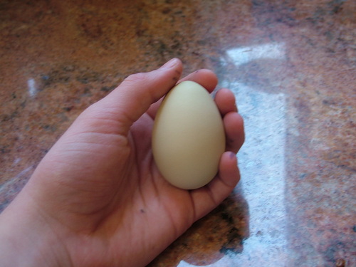 babyowl55555's profile picture. 