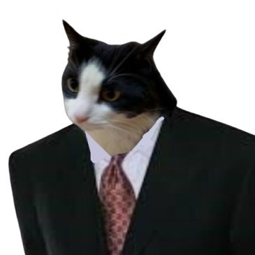 Chrisxssx008's profile picture. un gafo