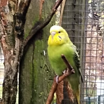 murielthibaut's profile picture. La raison et la vérité sont des chemins qui mènent à la paix et à la tranquillité de l'âme.