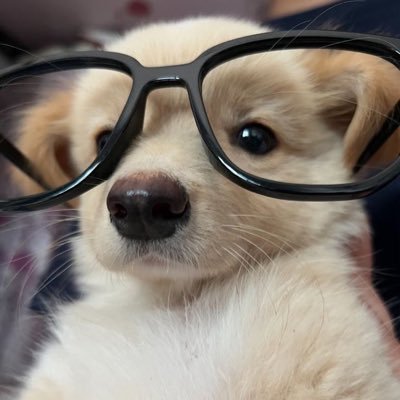 truecouplez's profile picture. 