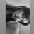 MSSARSO's profile image