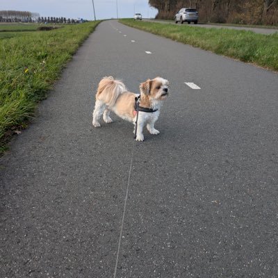 publicenemynr2's profile picture. 