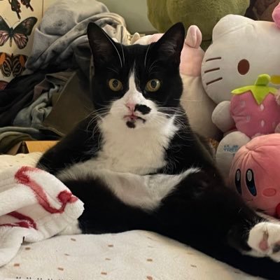 missgoochhh's profile picture. worlds best gooch 😼