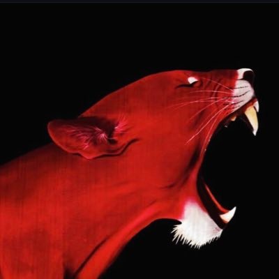 sebbe1210's profile picture. 