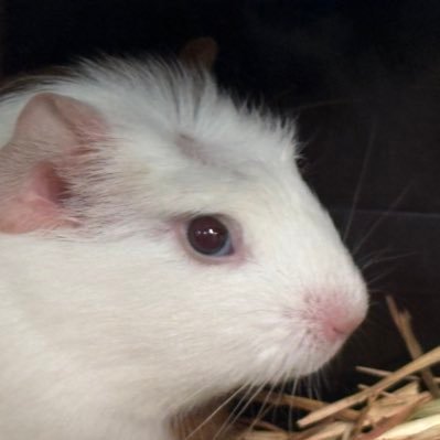 evilguy789's profile picture. retardead