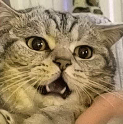 martyLabs_'s profile picture. marty.