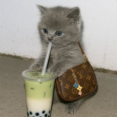 roxxycleopatra's profile picture. resting brown face