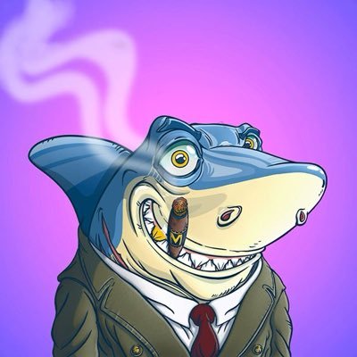 bnb_cryptosol's profile picture. crypto market pump