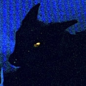 lunavultus's profile picture. just want to create with what I can, hope you resonate with my emotions