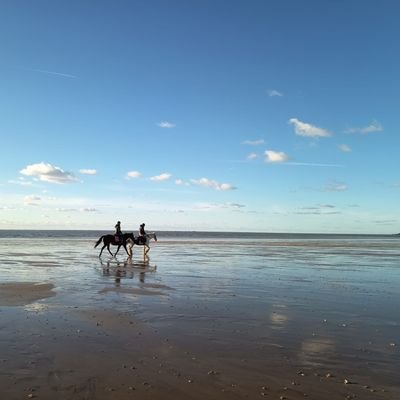 pcllecourt's profile picture. 