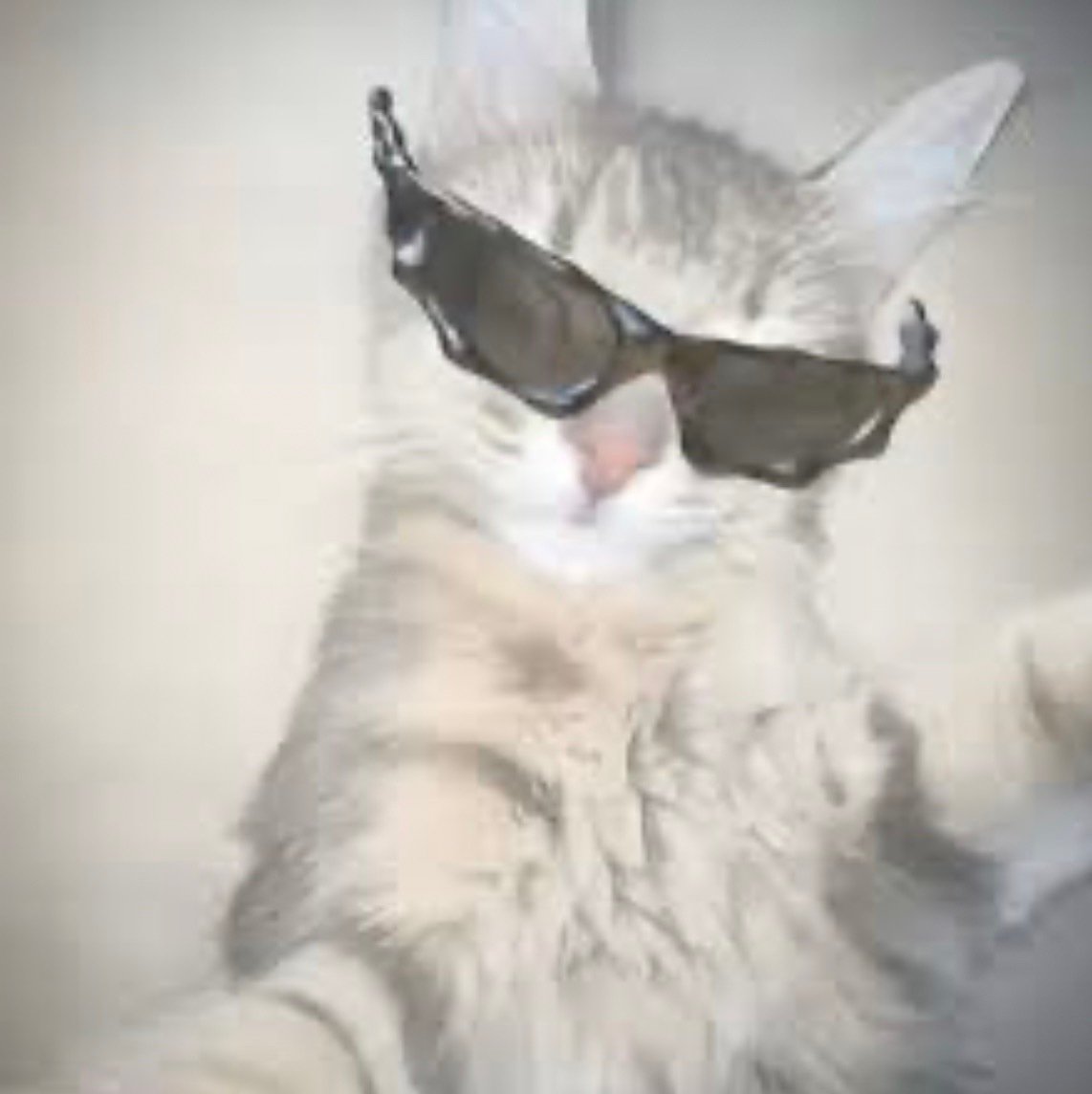 Swilllos's profile picture. 