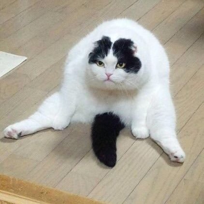 RebMVS's profile picture. não sei que não sei que lá