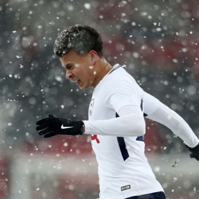 NeoTHFC's profile picture. Beer and Palhinha fan