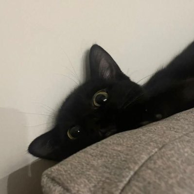 chilgongili's profile picture. bersamaku menuju mati muda yang tenang