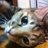 rika0108's profile image