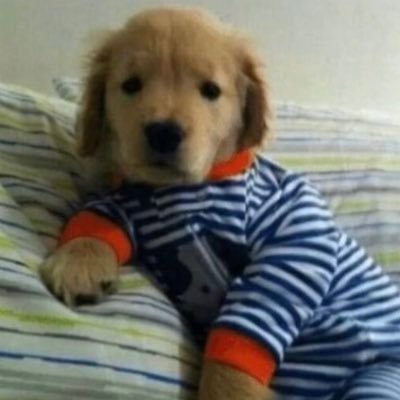 nashhhhhhhhba1's profile picture. shrimp @EX_1400 duo @R6Fafnir | @OutlastGamingNA