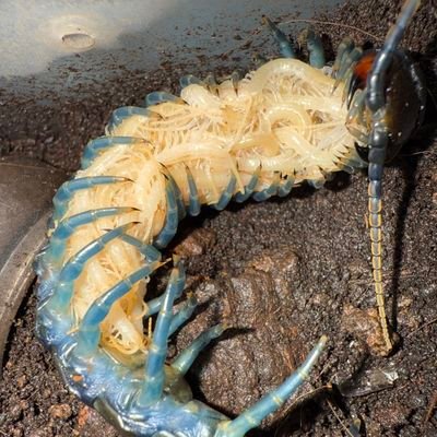 RockstarMxtp's profile picture. 