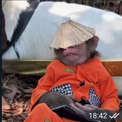 Wellington72701's profile picture. 