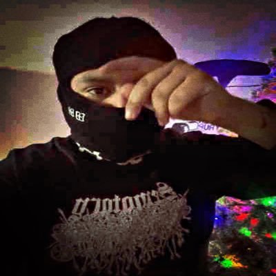 Hrdzl1's profile picture. 19💤