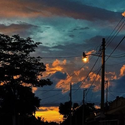 LookingForSlav's profile picture. 👾/🐶